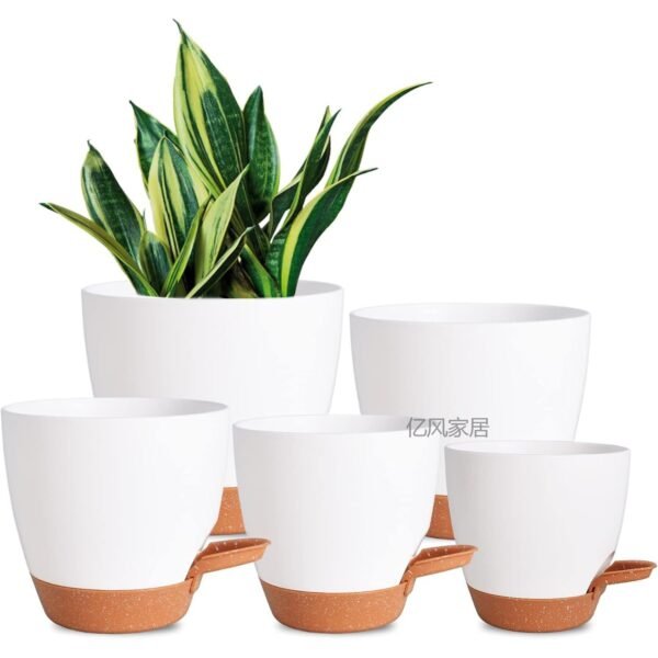 Succulent Planter with Saucer