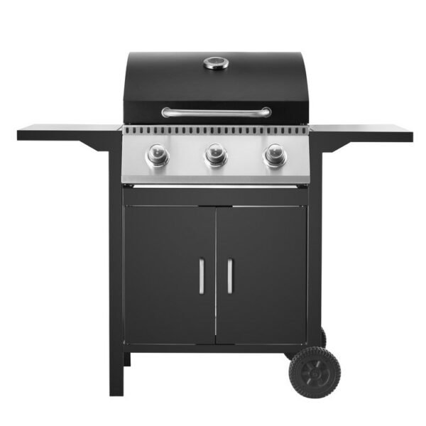 Outdoor gas grill