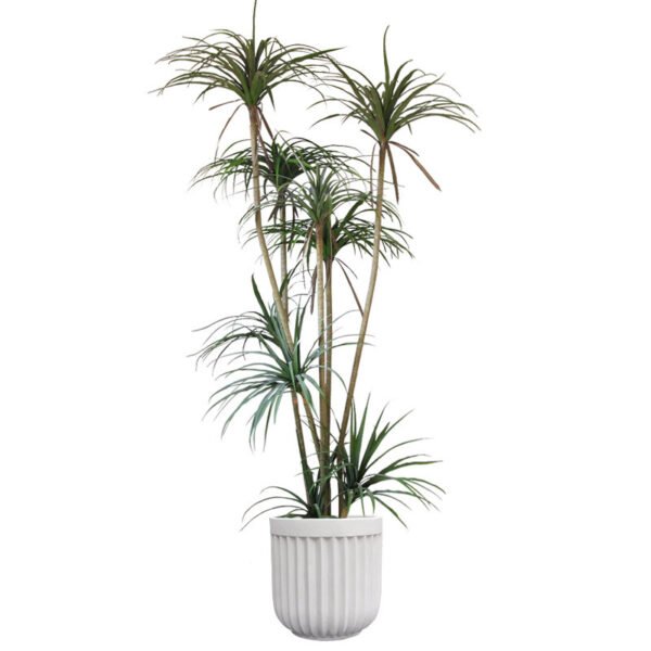 Dragon beard tree simulation green plant